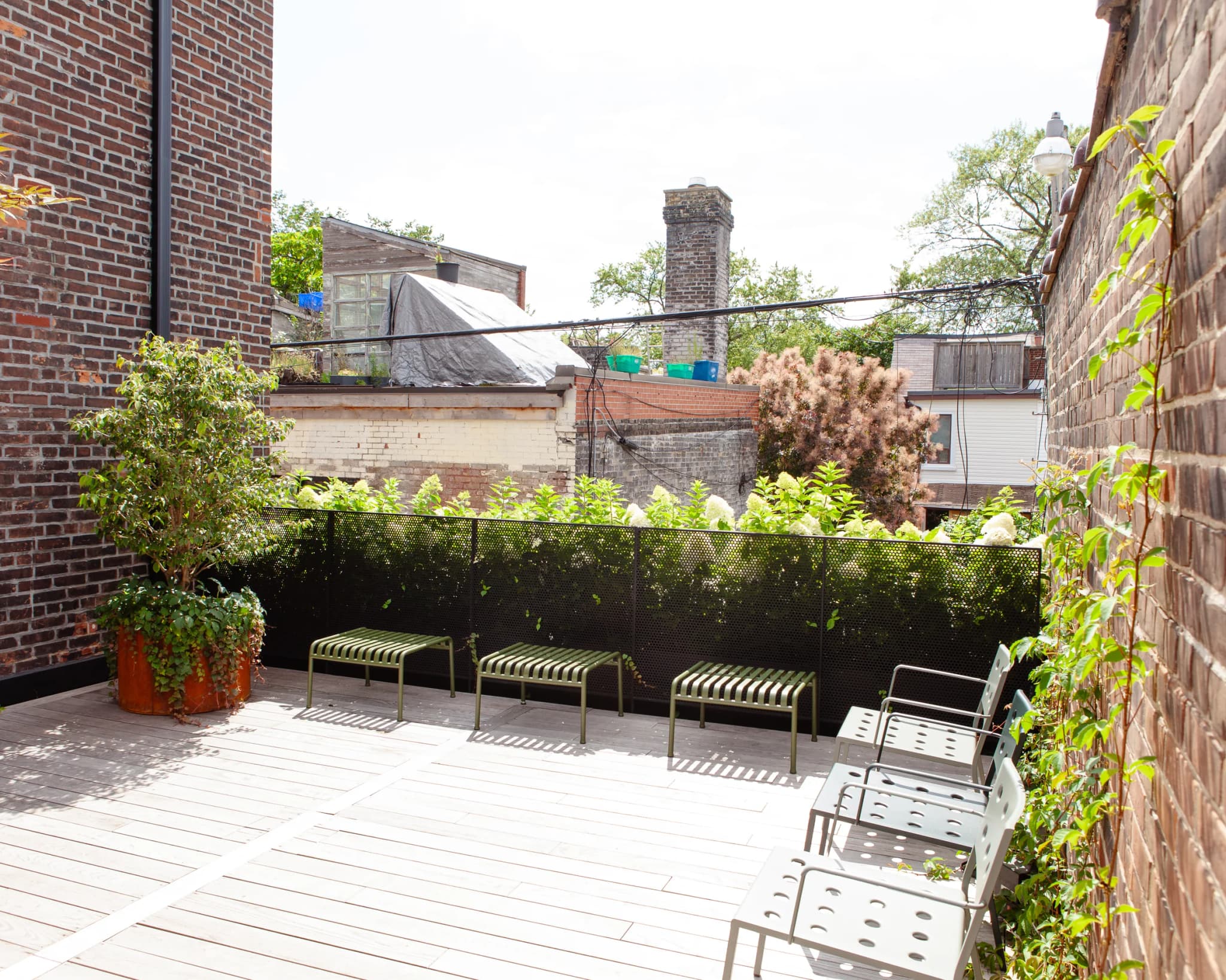 Rooftop patio at Eastroom Claremont with lush hedging, climbing vines and modern metal furniture