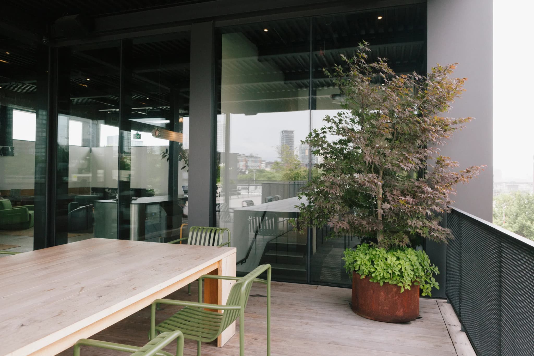 Rooftop terrace at Eastroom King West with Japanese maple tree in terracotta planter and modern outdoor seating