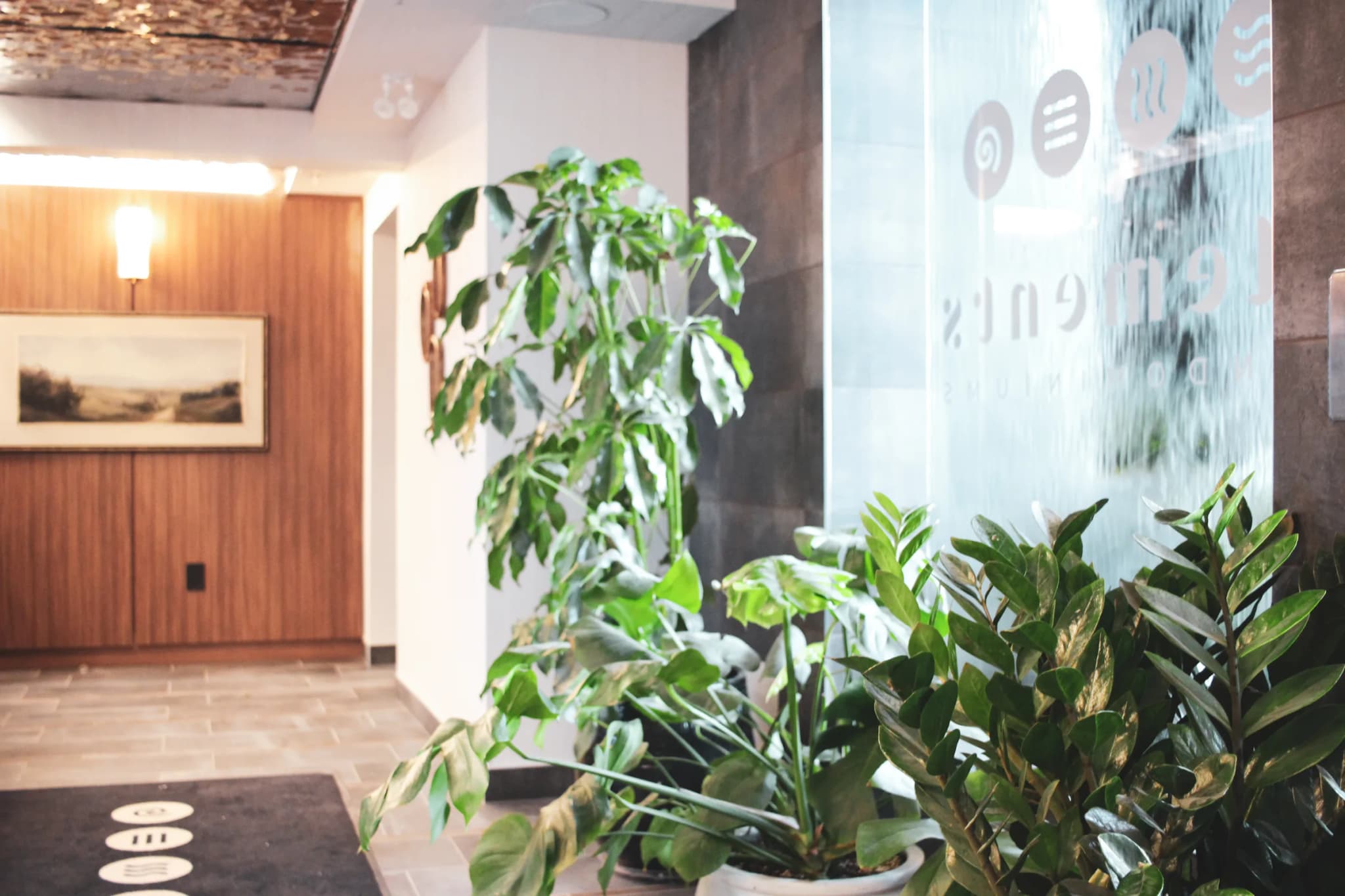 Modern lobby at Elements with ZZ plant and Monstera beside water feature and wood paneling