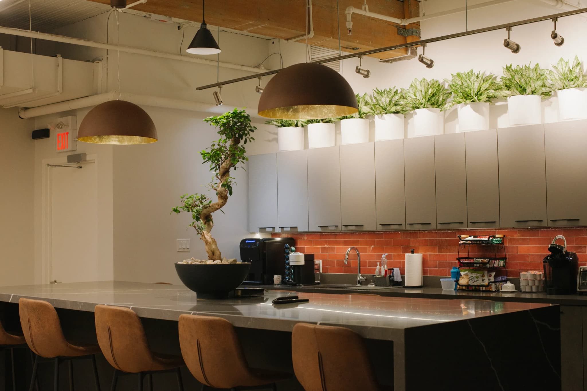 Plant installation at Goodreid Investment office