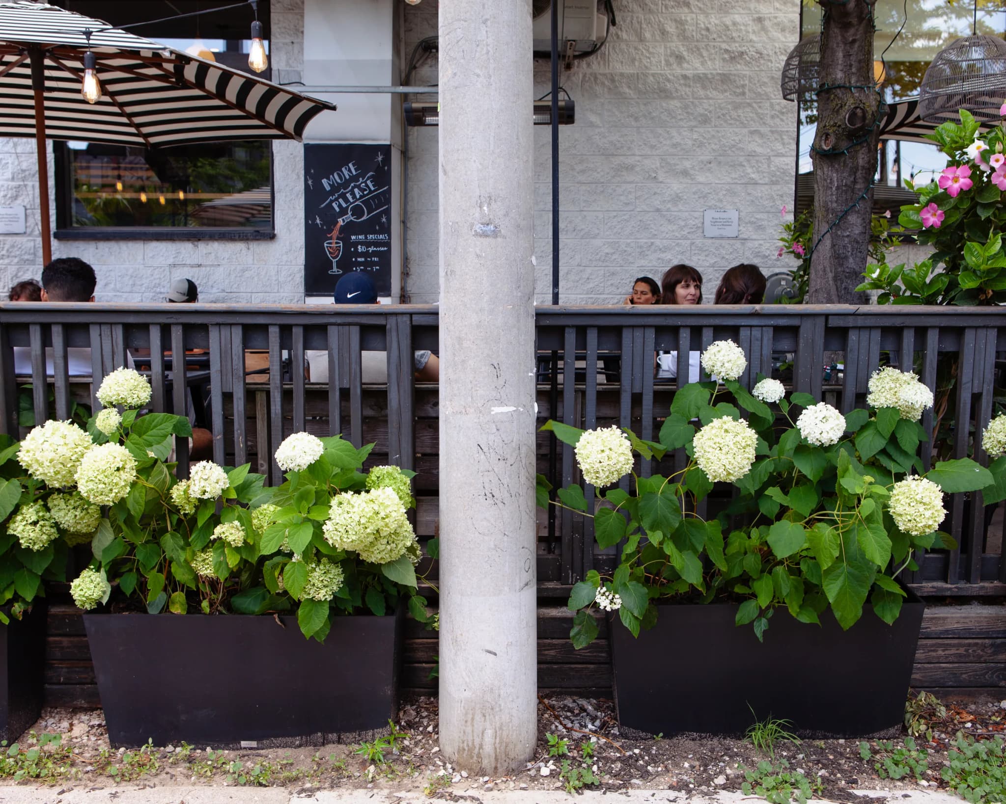 Ideal Coffee patio with lush white hydrangea planters and striped umbrellas
