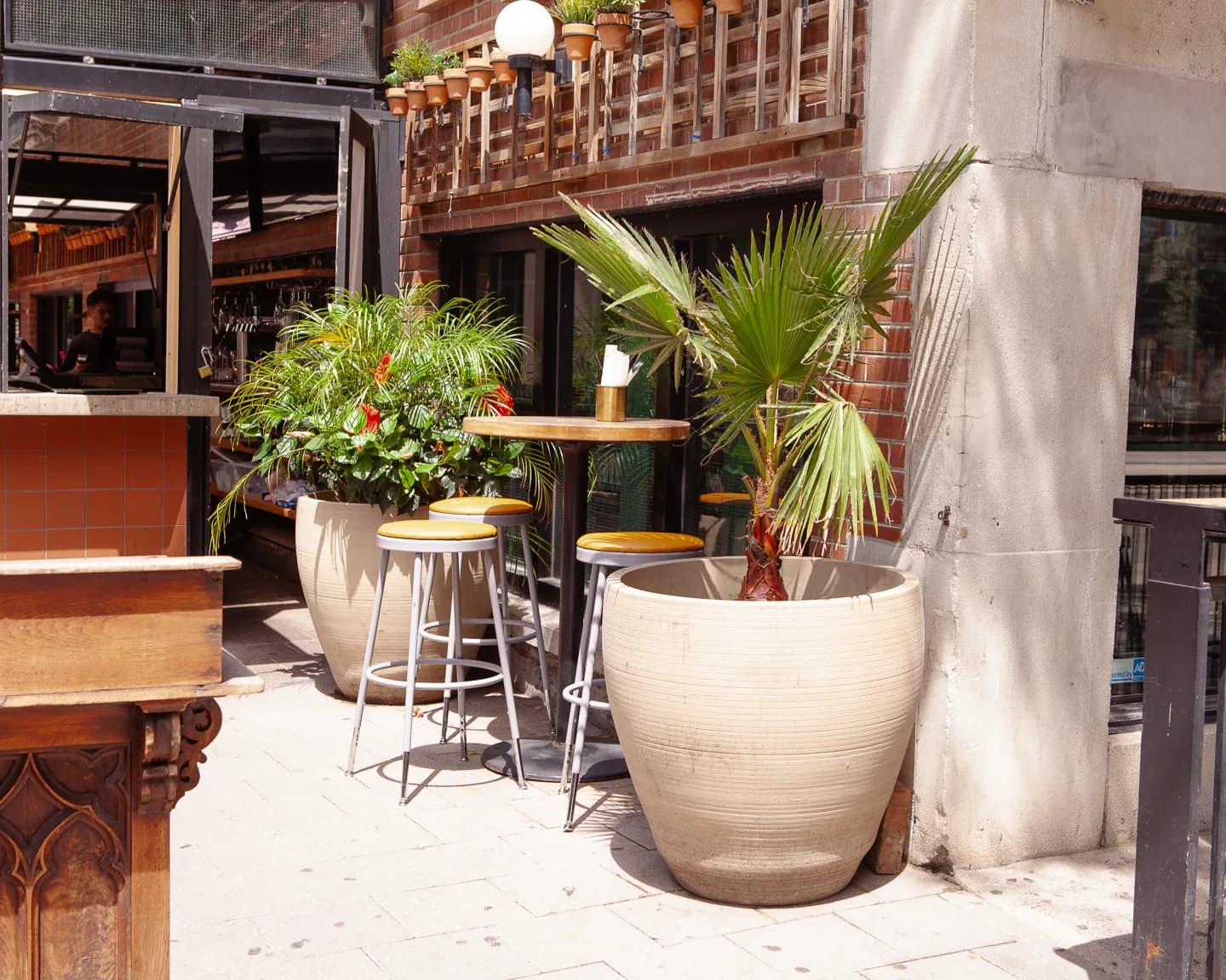 Belfast Love patio with tropical planter featuring palms and lush greenery