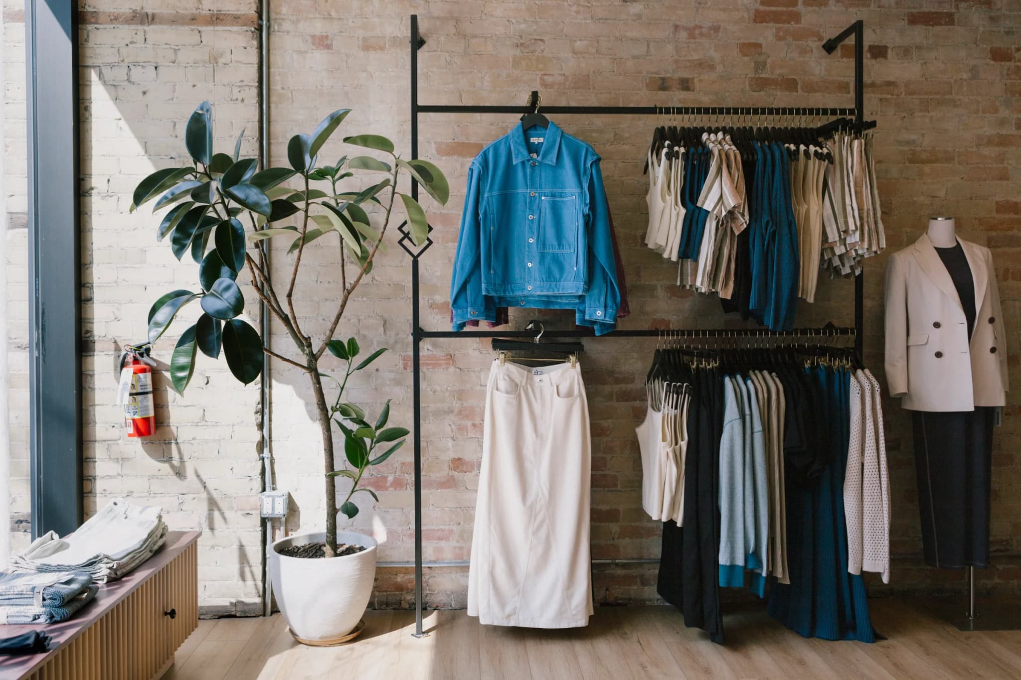 Rubber Tree in white planter beside clothing display racks against exposed brick wall at KOTN Leslieville