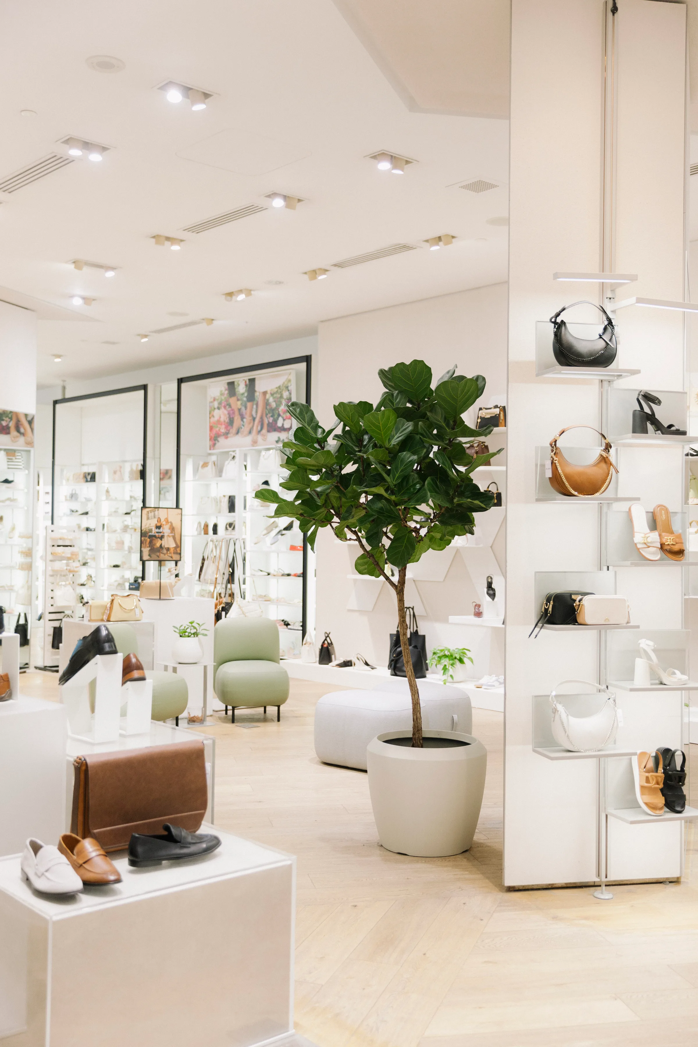 Pothos plants cascading on geometric white display shelves at Aldo Yorkdale