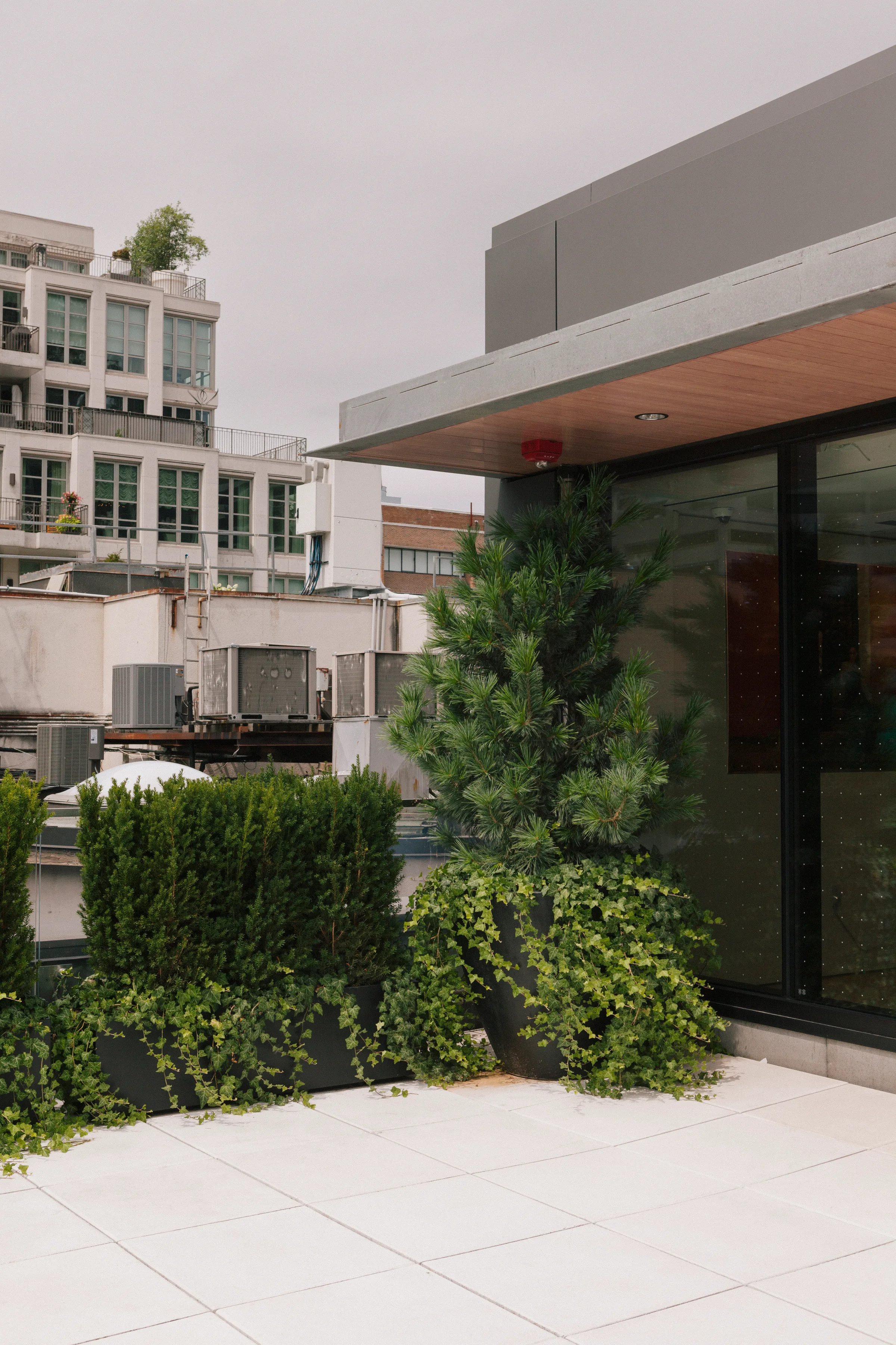Rooftop dining area with rosemary hedges and wooden furniture at Brunello Cucinelli Toronto