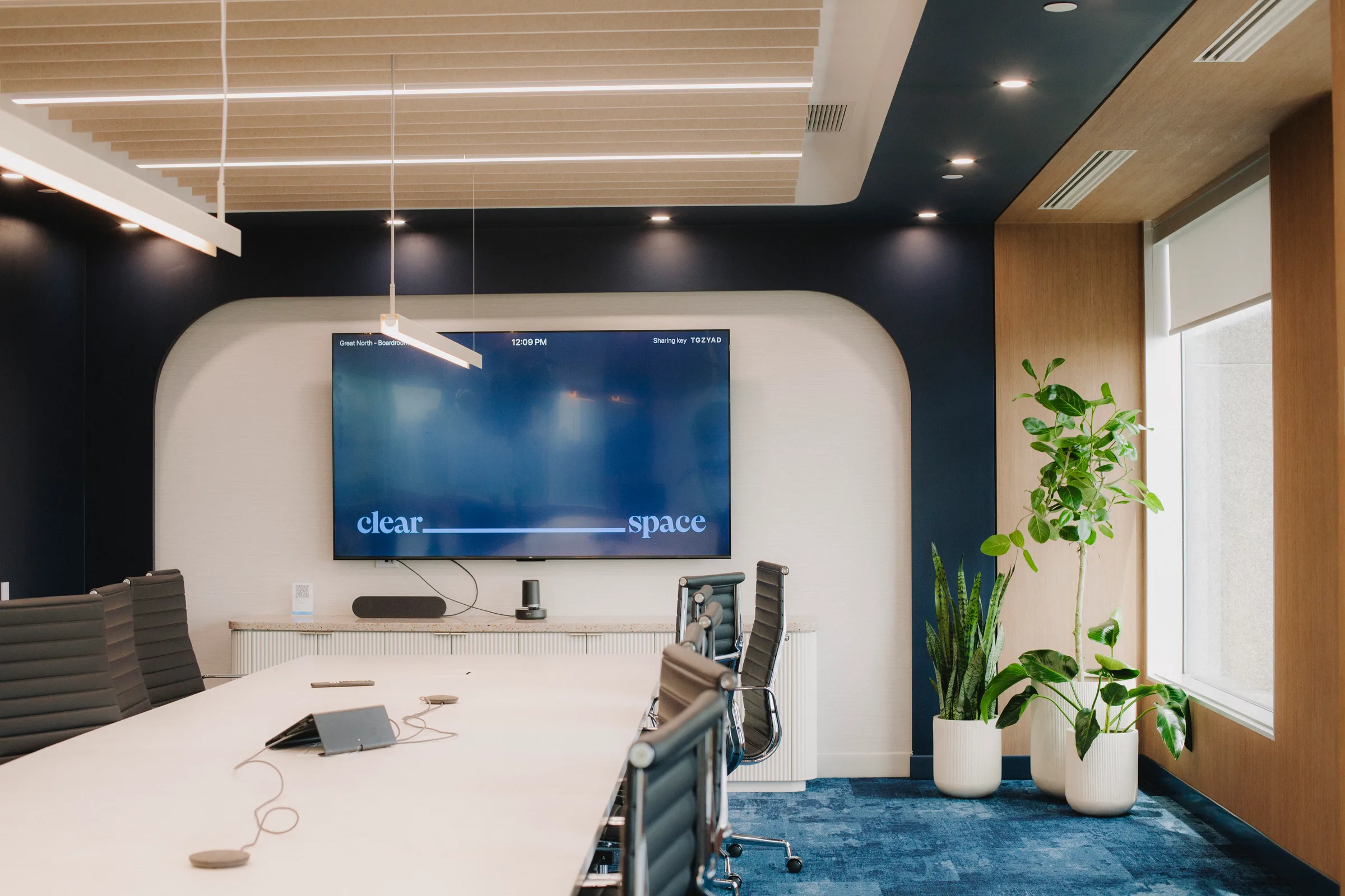 Close-up of Ficus Audrey leaf cleaning during office plant maintenance