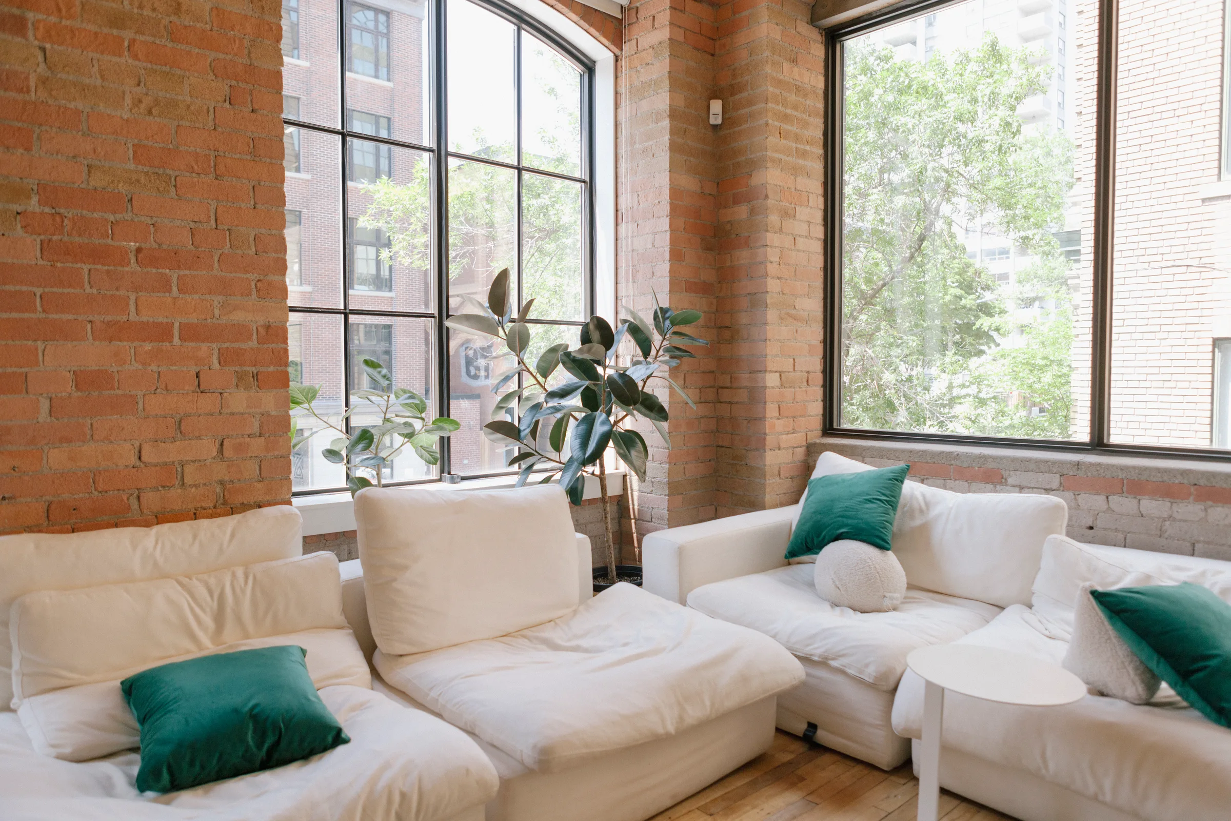Snake Plants in woven baskets flanking woven chairs in minimalist seating nook at Cohere