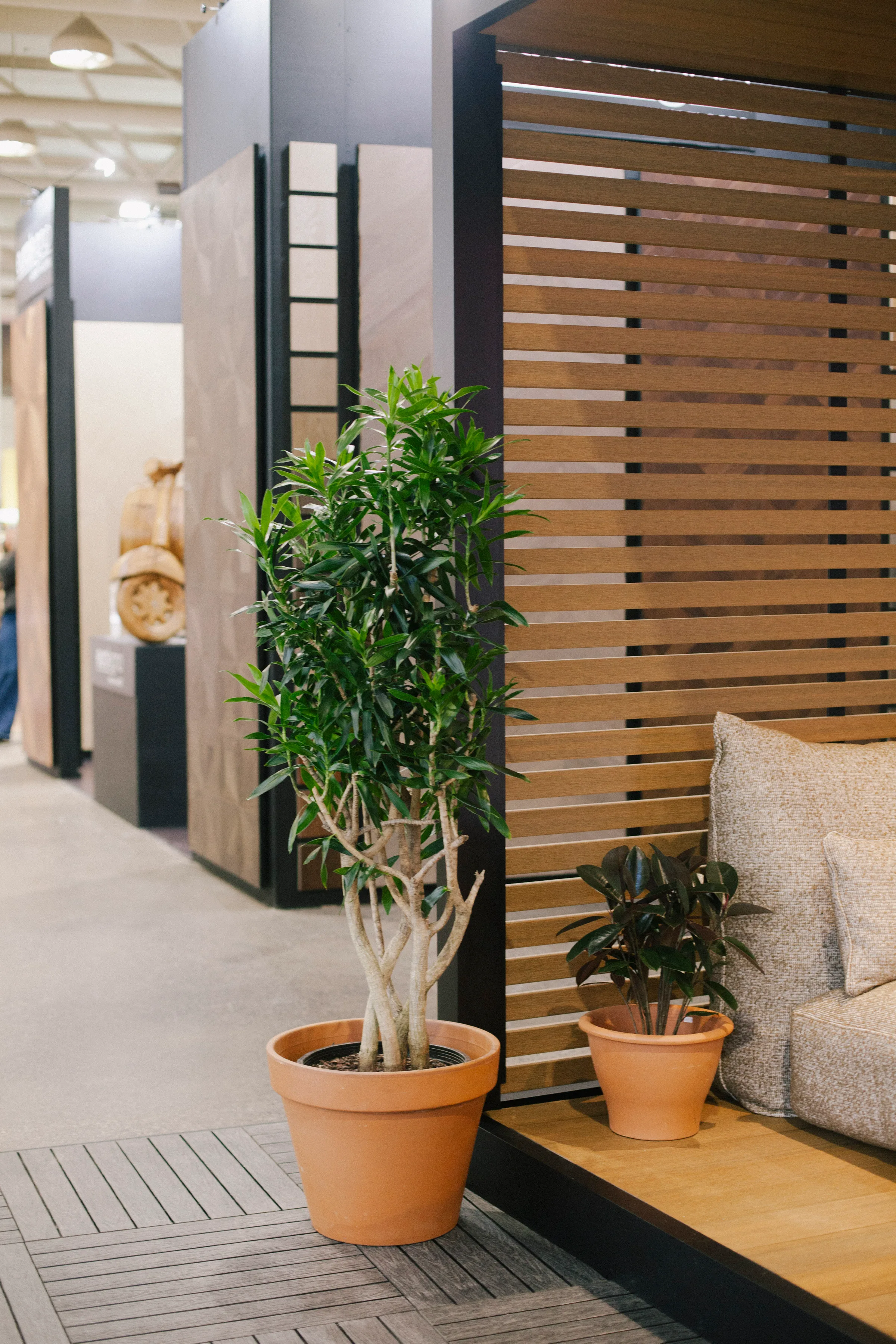 Ficus tree and Rubber Plant beside wooden deck at The Haven booth at Interior Design Show
