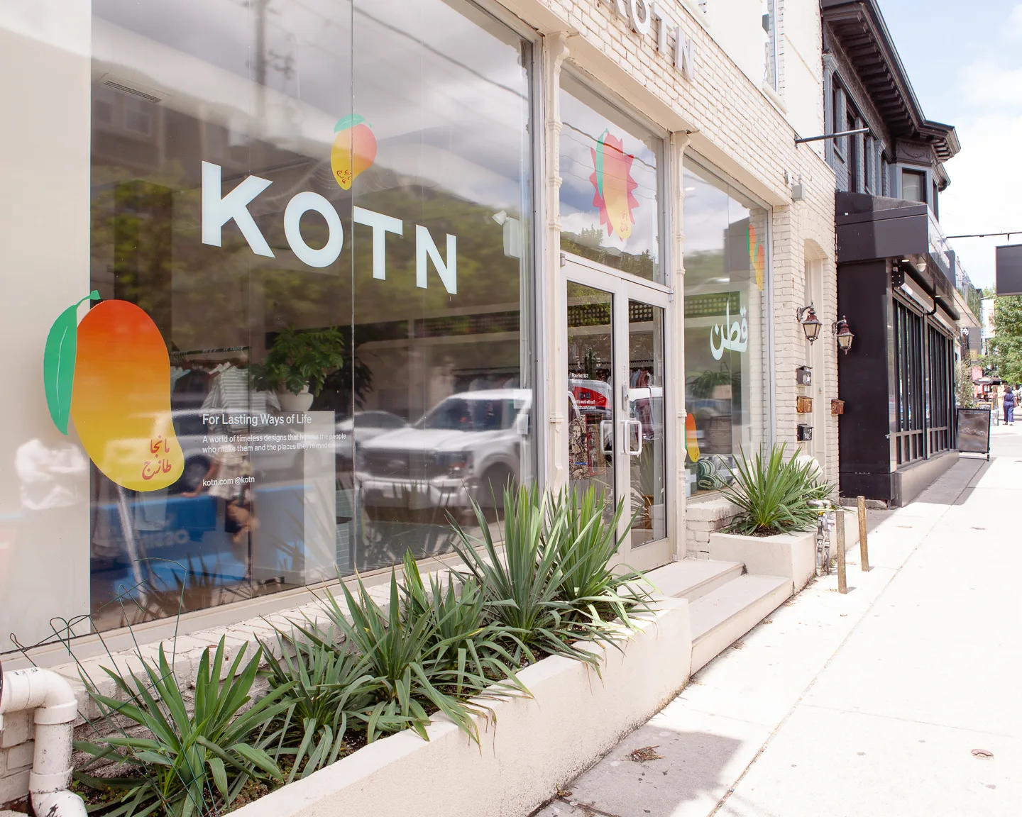 KOTN Ossington storefront with Dracaena and Yucca planters on sidewalk