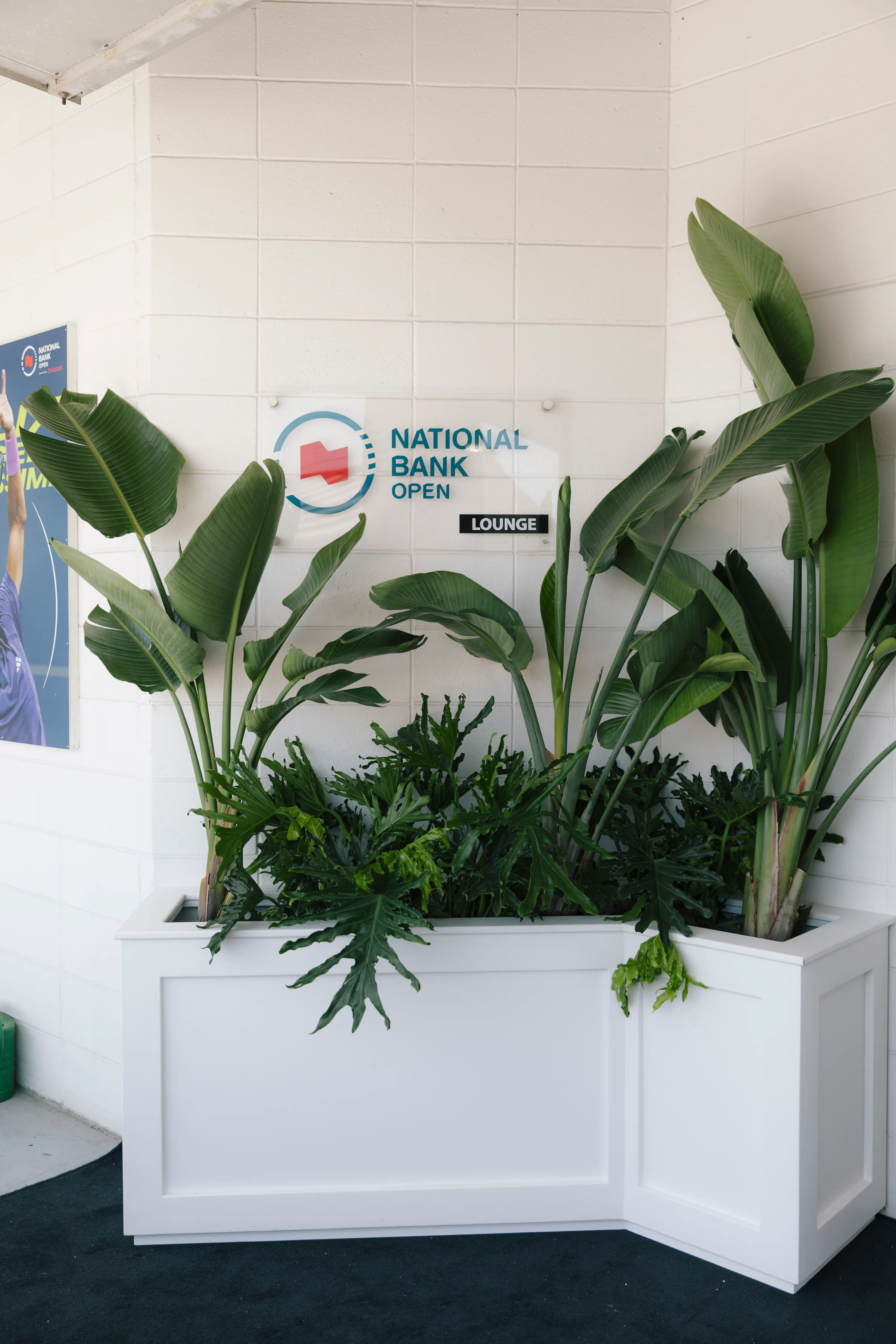 Bird of Paradise and Philodendron planter with National Bank Open Lounge signage