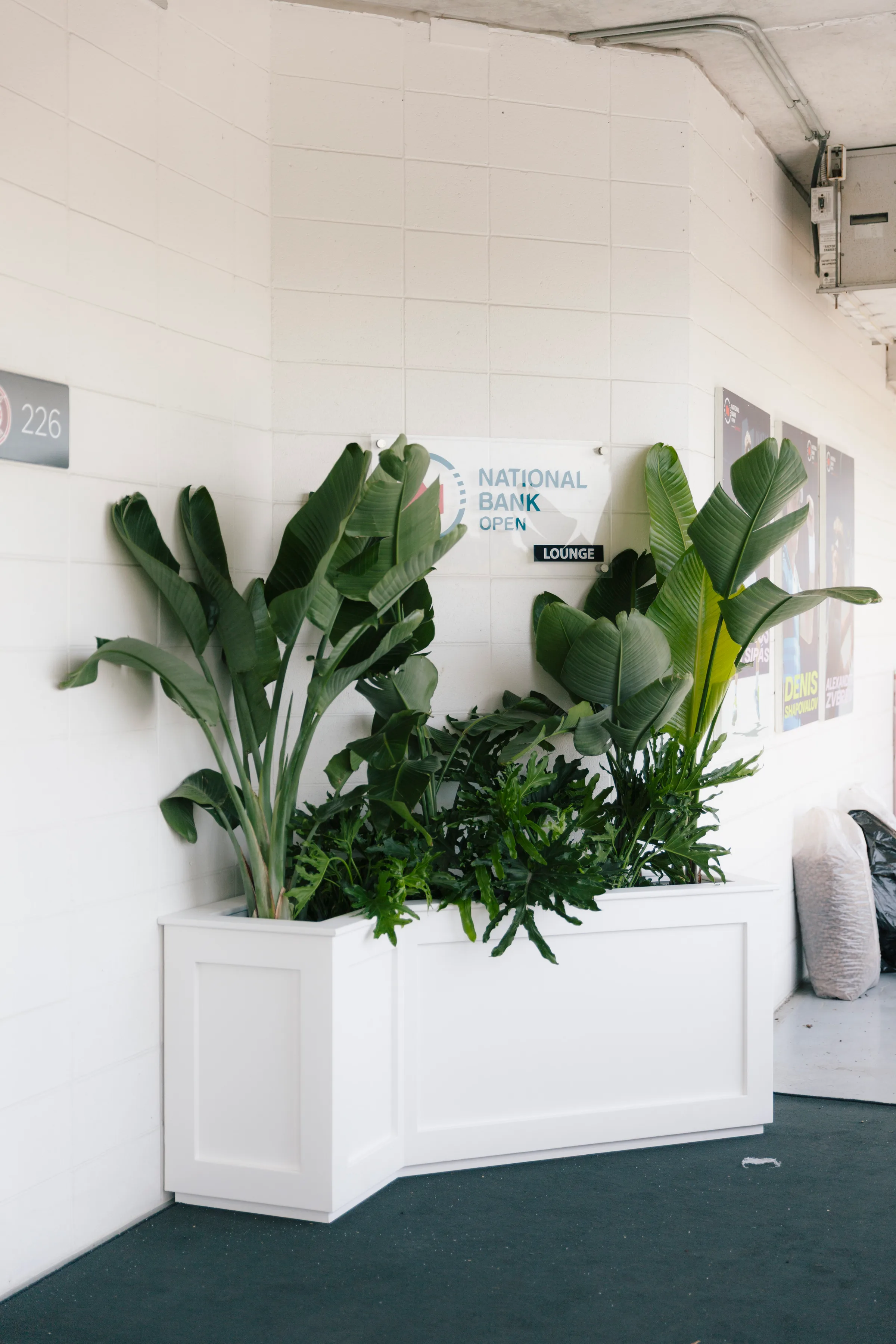 Corner planter with Bird of Paradise beneath National Bank Open Lounge signage