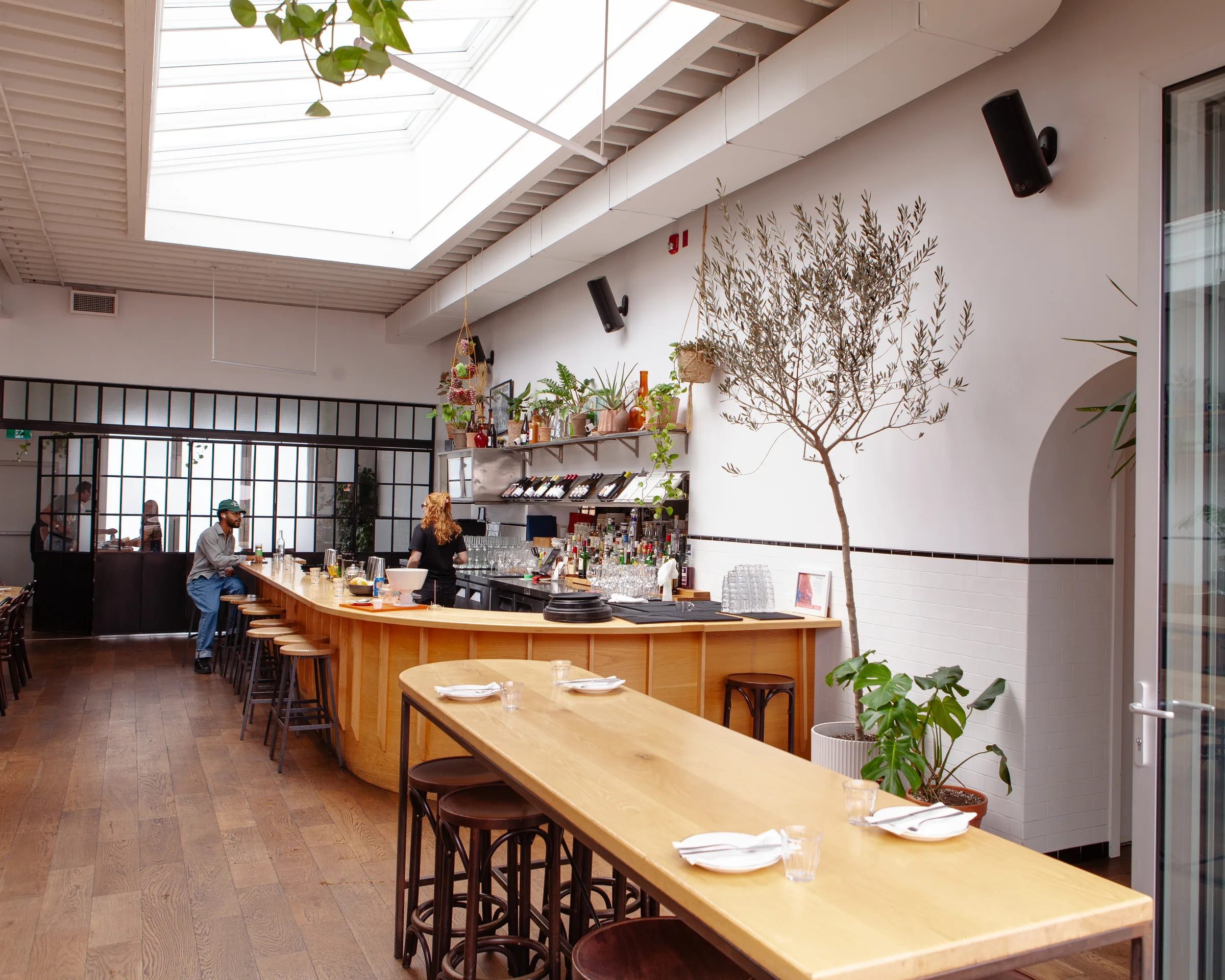 Paris Paris interior bar with skylight, hanging plants and olive tree