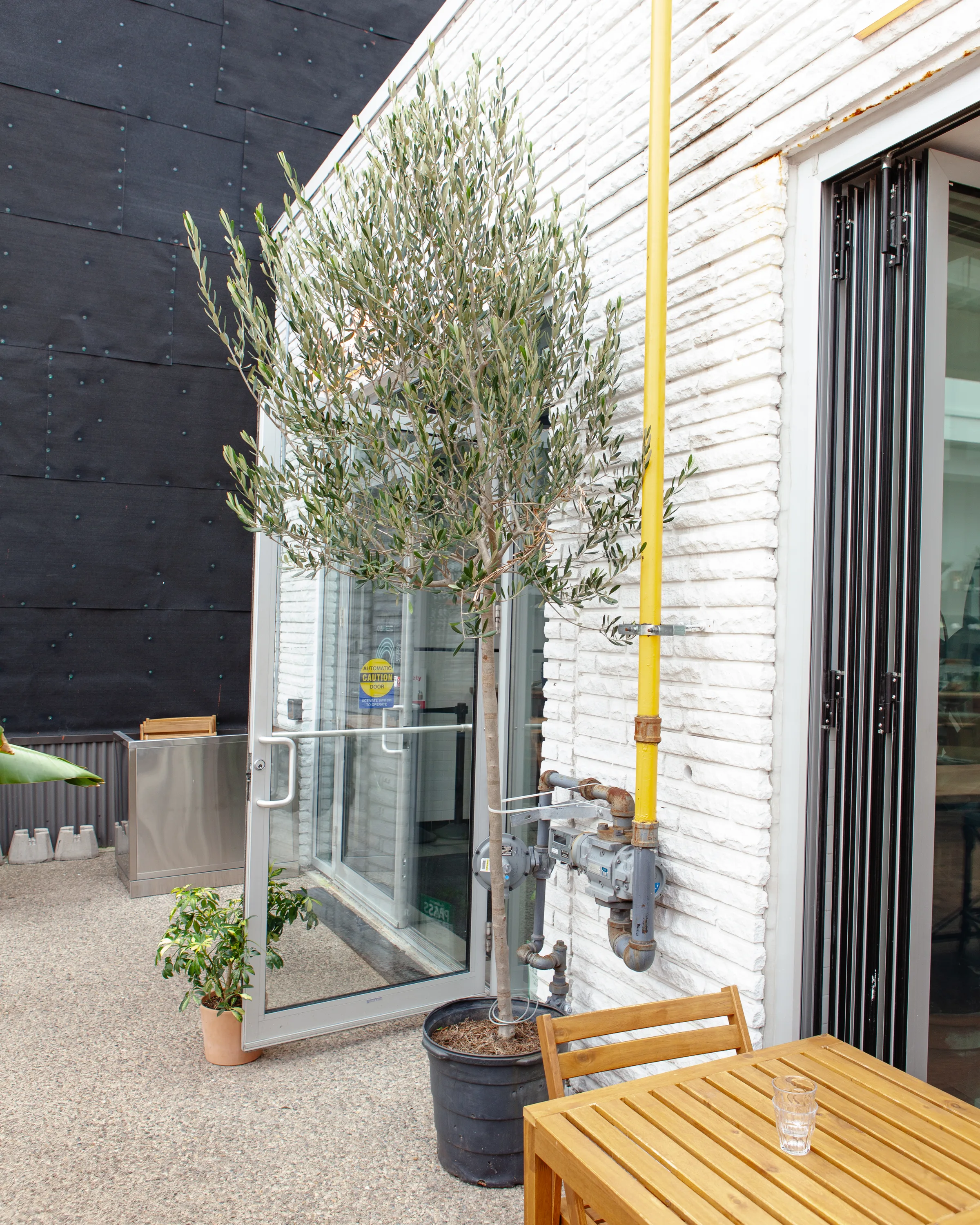 Outdoor patio with olive tree at Paris Paris restaurant