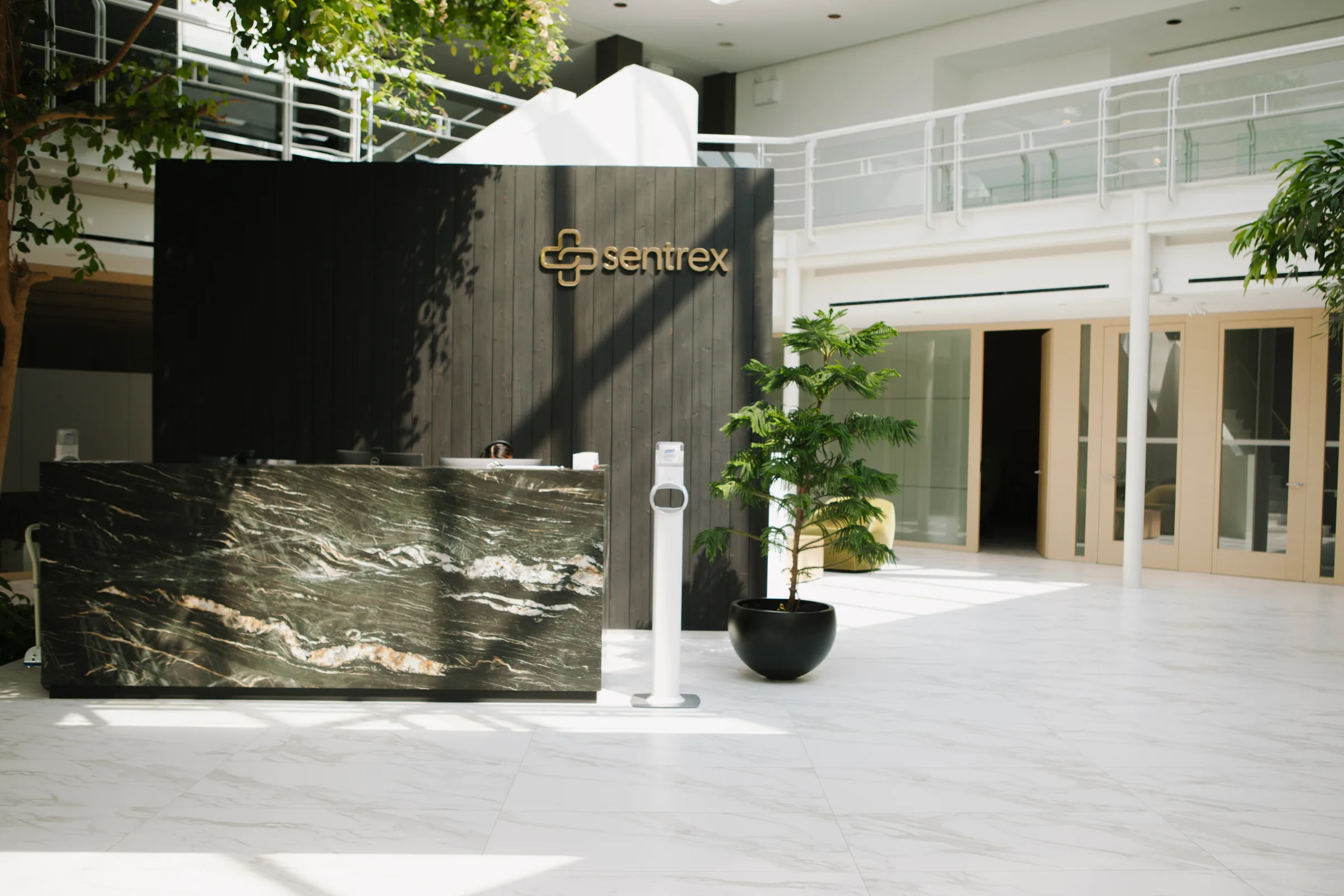 Sentrex reception desk with gold logo, green marble counter and Norfolk Island Pine in black planter
