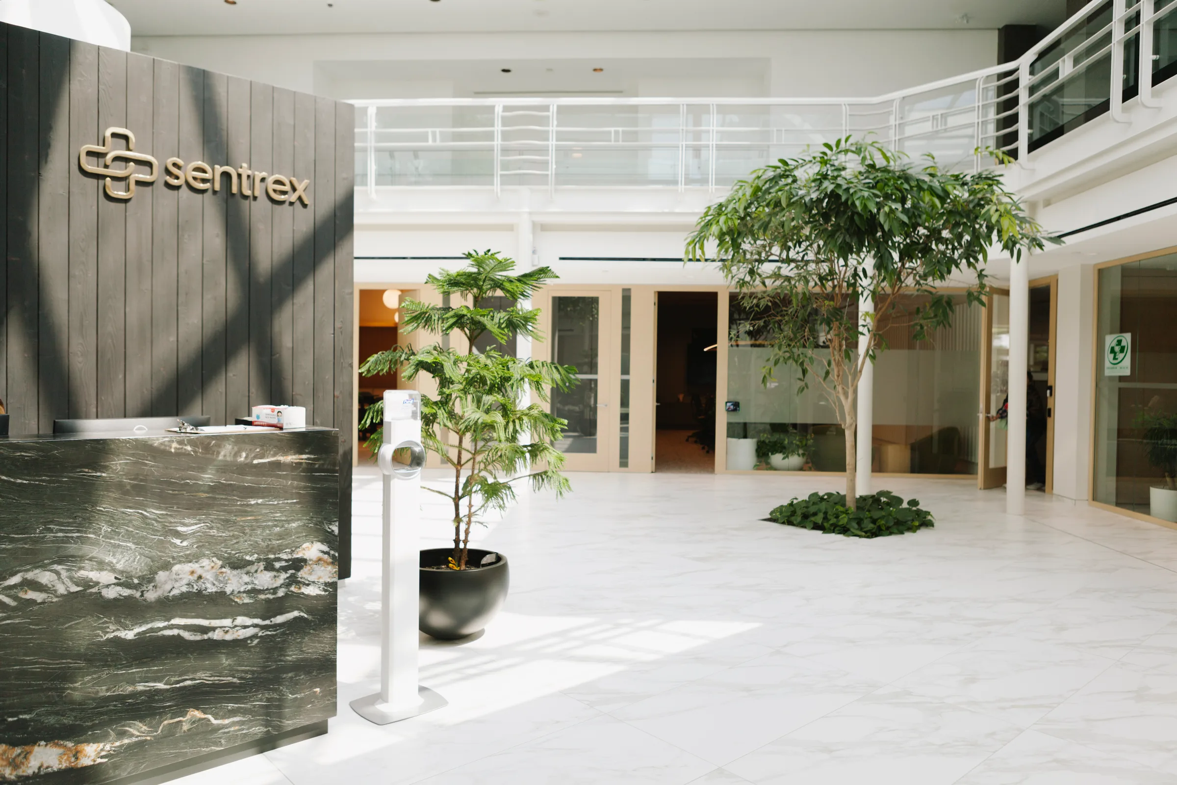Wide view of Sentrex lobby with mature Ficus tree, reception desk and double-height space