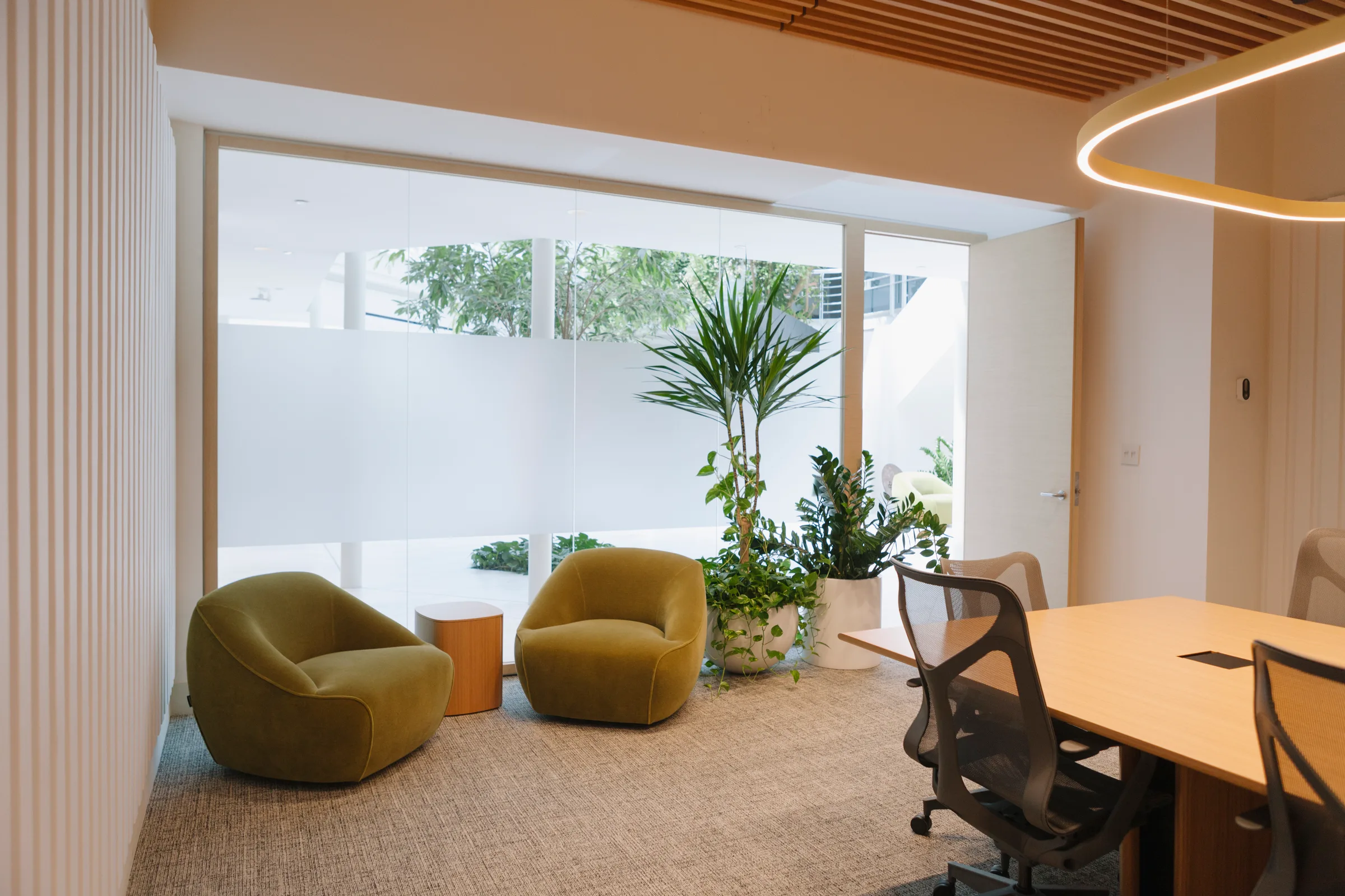 Private meeting room with green velvet chairs, Dracaena palm and modern ring lighting at Sentrex